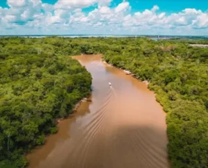 Río Negro – Amazonie brésilienne