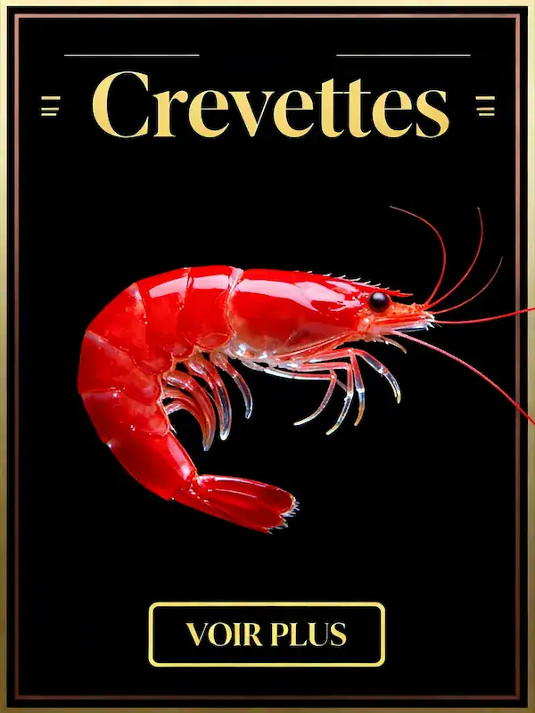 Voir les fiches crevettes
