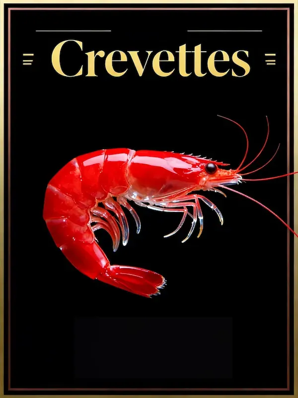 Crevettes aquarium