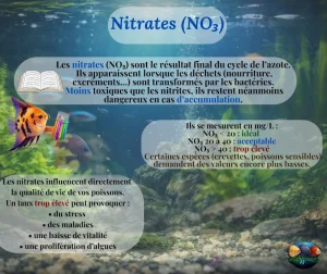 Les Nitrates (NO₃) dans l’aquarium