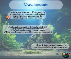 L’eau osmosée en aquariophilie : à quoi ça sert ?