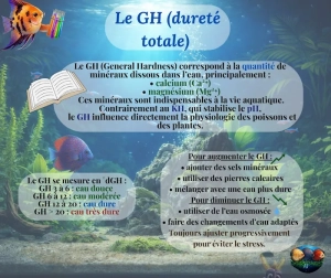 Le GH en aquarium : tout comprendre sur la dureté générale de l’eau