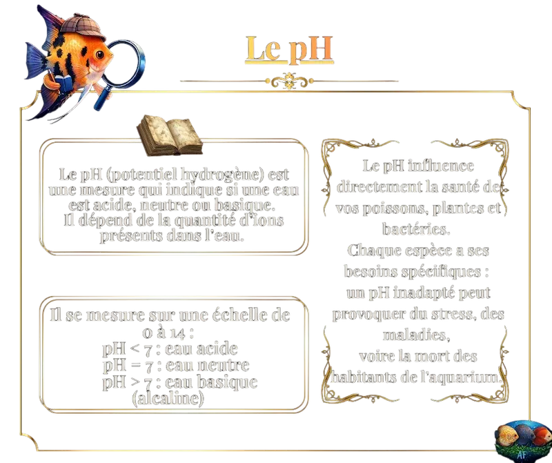 Le pH de l’eau : un paramètre essentiel pour votre aquarium