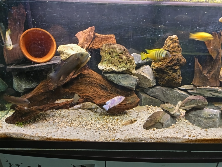 Aquarium 300l