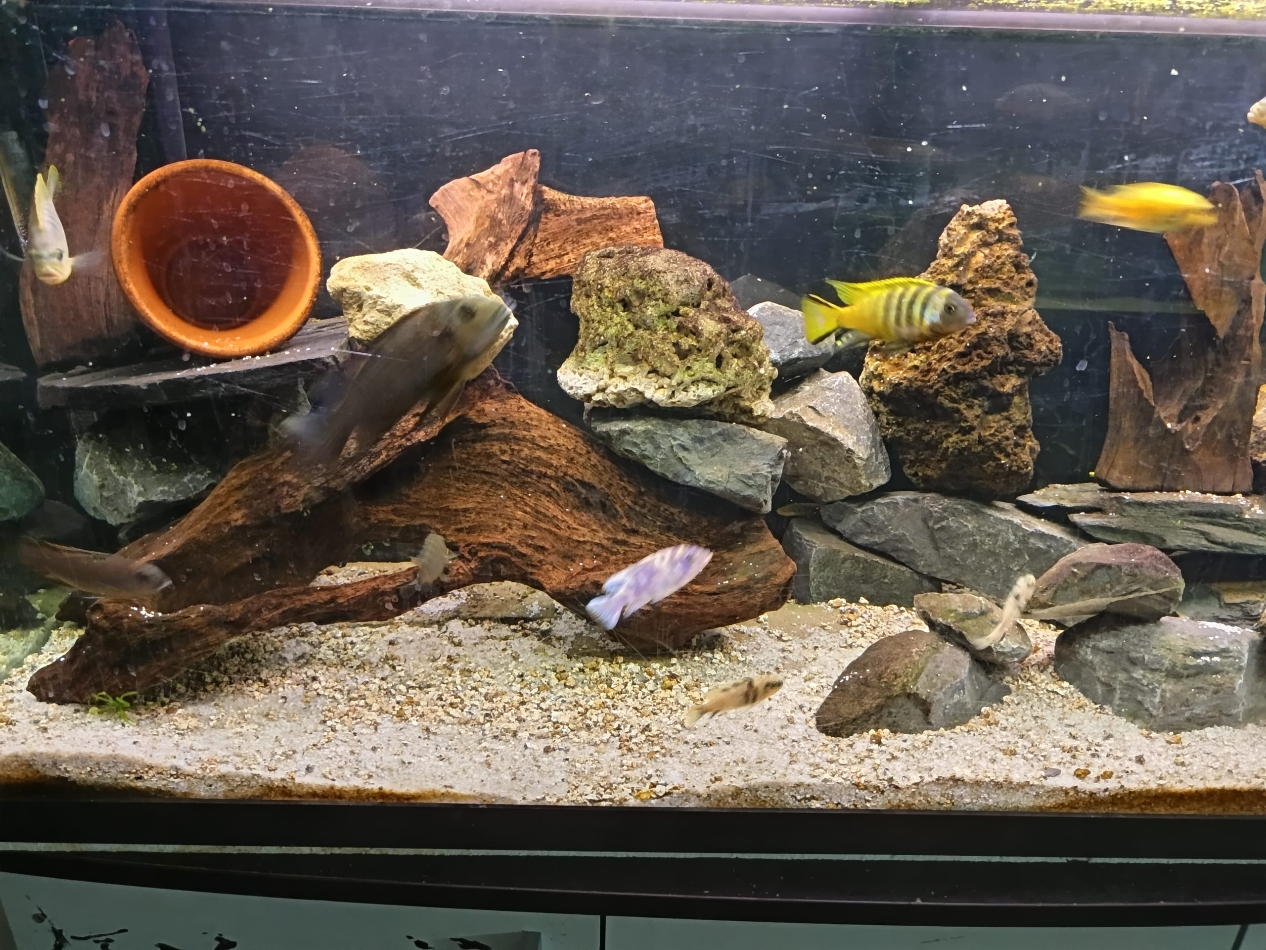 Aquarium 300l
