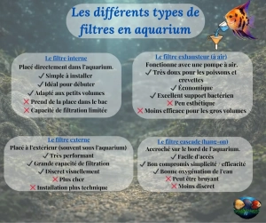 Quel filtre aquarium choisir ? Guide complet